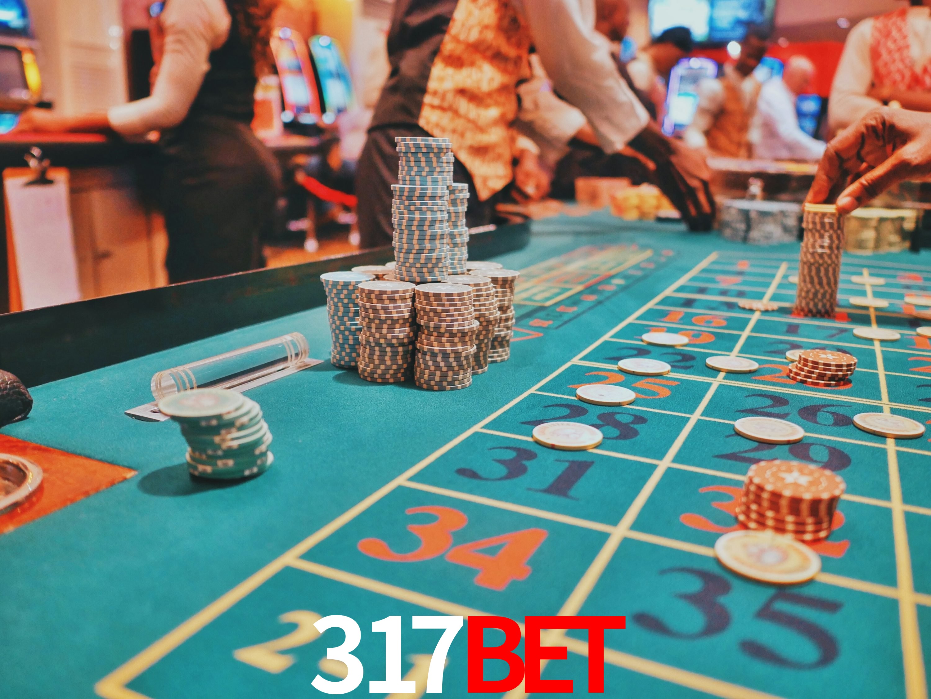 Sports Statistics 317bet
